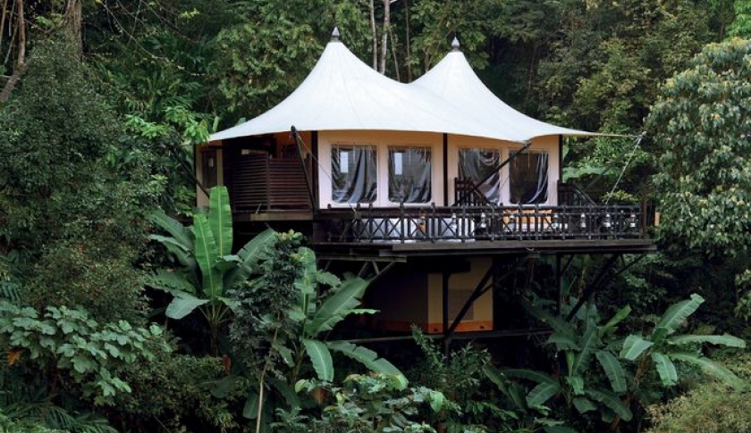 Tent